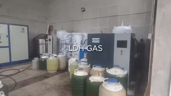 Ldh Small Industrial Biology Institute 20L Flüssigstickstoffgenerator